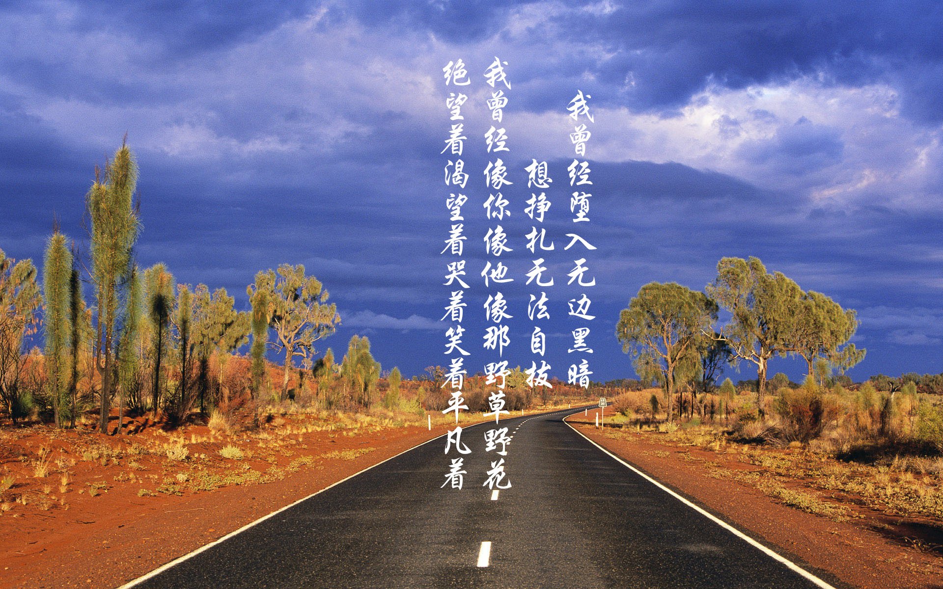 男女蛙泳划频平均值首次披露，蛙泳男子比赛